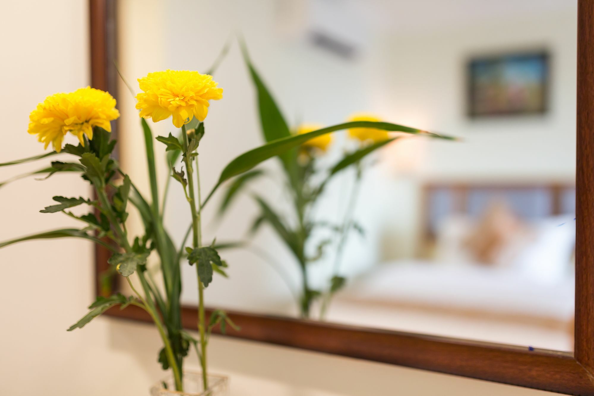 Grand Bayon Siem Reap Hotel Esterno foto